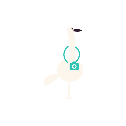 Photomingo flamingo mascot holding a camera